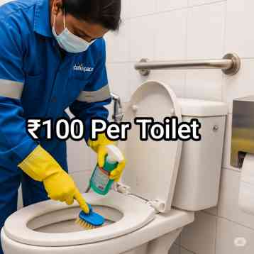 toilet cleaning